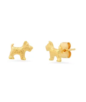 TAI Westie Dog Studs